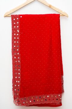 Red Saree with mirror design